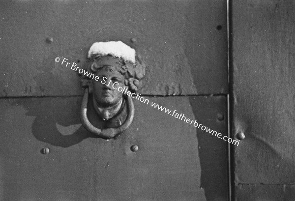 DECORATIVE HEAD DOORKNOCKER ON METAL GATE